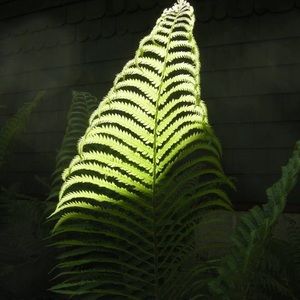 Meet your Posher, Pierre